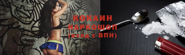 гашик Алзамай