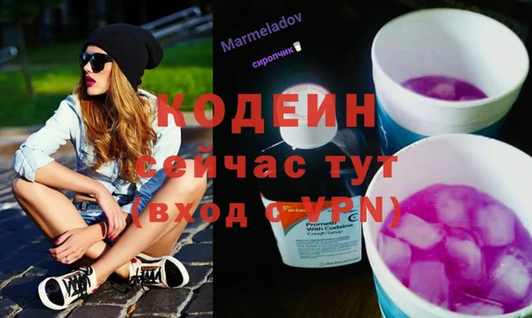 гашик Алзамай